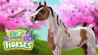 Buying the Exclusive Stunning Pintabian in the Star Stable Horses App  SSO Star Stable Horses [upl. by Pike]