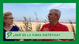 ¿Qué es la FIBRA DIETÉTICA [upl. by Nylesor]