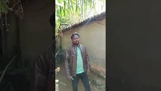 To Manare Thila Jodi Aau Lo Kehi🌹🌺TRIBAL VILLAGE LIFE VLOG ShortsViralReels Pitabasasing5146 [upl. by Munt]