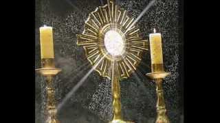 Sono qui a lodarti Corpus Domini 2012wmv [upl. by Uot]