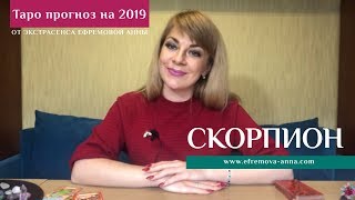 СКОРПИОН  таро прогноз на 2019 год от Экстрасенса Ефремовой Анны [upl. by Assenyl49]