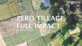 CIP Story  Zero tillage full impact [upl. by Ileak]