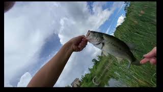 Weekend Fishing Challenge How Many Fish Can I Catch [upl. by Aromat]