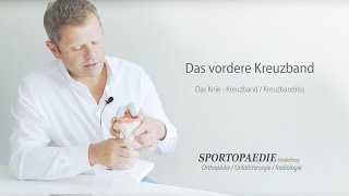 Das vordere Kreuzband  PD Dr med Nikolaus A Streich [upl. by Ainad]