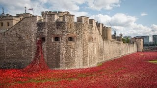 Poppy memorial timelapse at Tower of London from dawn to dusk [upl. by Maccarthy339]