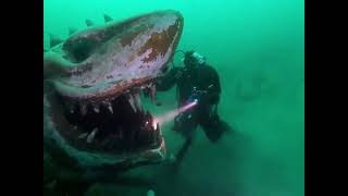 Terrifying underwater shark statue at Lake Neuchatel in Switzerland  mysterious thing  discoveries [upl. by Nonnaehr315]