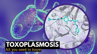 Toxoplasmosis What You Need To Know [upl. by Hcib]