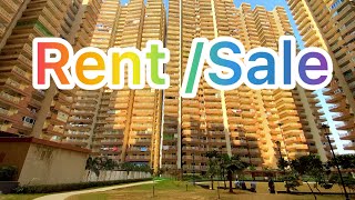 Rent in Gaur City Greater Noida West noida extension 2bhk 3bhk semi furnished  fully furnished [upl. by Yup]