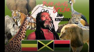 Burning Spear  Estimated Prophet Greatful Dead Cover [upl. by Norris]