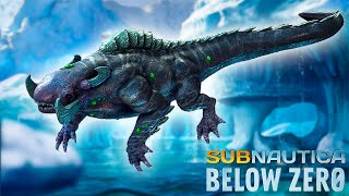 How To CURE THE FROZEN LEVIATHAN In SUBNAUTICA BELOW ZERO [upl. by Adelbert]