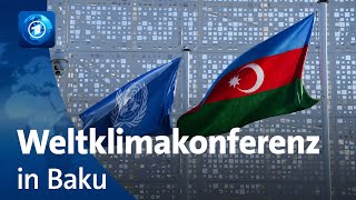 Worum es bei der Klimakonferenz in Baku geht [upl. by Eanal]