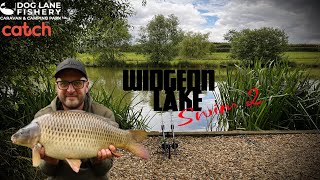 Carp Fishing Summer Session  Dog Lane Fishery Widgeon Lake  Martyns Angling Adventures [upl. by Itin]