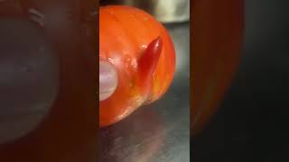 Tomate machote [upl. by Akerley]