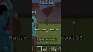 Voy a protegerte 😼🩷suscribete minecraft parati minecrafthumor dejatulike [upl. by Ahsikyt]