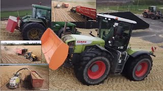 Claas Jaguar 960 Xerion 3800 amp 2x JCB Fastrac 8250 beim Mais häckseln [upl. by Aneger]