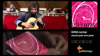 Nazzareno Zacconi plays Galli Strings GR65 [upl. by Olenka]