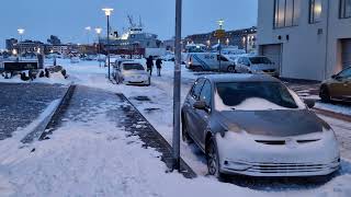 A TYPICAL WINTER DAY IN REYKJAVIK ICELAND [upl. by Dnomaj]