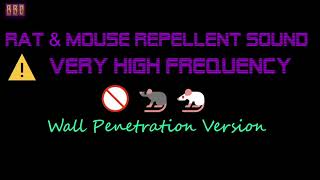 ⚠️Wall Penetration Version 🚫🐀🐁 Rat amp Mouse Repellent Sound Very High Frequency 3 Hour [upl. by Channing]