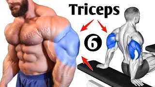 Triceps Workout At Gym  6 Effective Exercises [upl. by Alfons591]