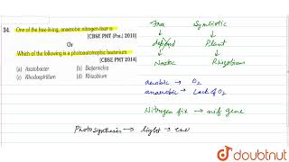 One of the freeliving anaerobic nitrogenfixer is Or which of the following is a photoautotrop [upl. by Ylatan]