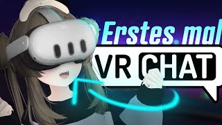 fast ALLES ÜBER VRCHAT IN 8 MINUTEN [upl. by Hernando]