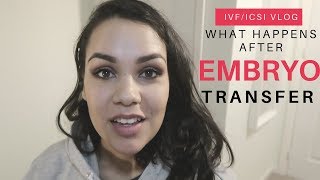 What Happens to the Embryo After Embryo Transfer IVFICSI VLOG [upl. by Antrim]