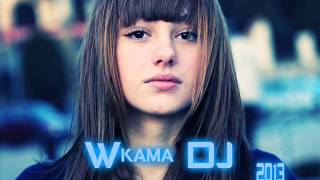 Emil Lassaria And Caitlyn  Gimme More  Dj Wkama 2013 [upl. by Aihsem]