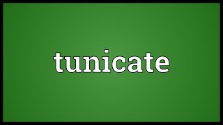 Tunicate Meaning [upl. by Rodmur]