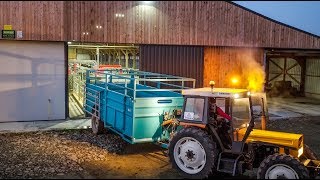 Visite de cet élevage laitier en Bretagne [upl. by Templer]