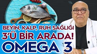 Günde Ne Kadar Takviye Almalı OMEGA 3 Faydaları Nelerdir  5 Dakikada Sağlık [upl. by Viole406]