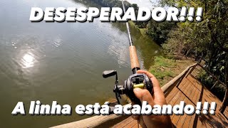 DESESPERADOR…Como esse peixe conseguiu [upl. by Nhabois]