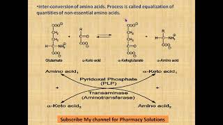 TRANSAMINATION DEAMINATION DECARBOXYLATION [upl. by Franzen]