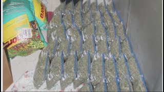 EXCLUSIVE Inside look at what Jefferson County investigators call biggest drug bust in 25 years [upl. by Anilas]