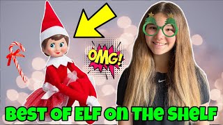 The Best Of The Elf On The Shelf My Elf Is Pregnant Gender Reveal [upl. by Jean878]