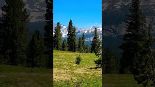 Traveling in California Tuolumne Meadows california travel meadows mountains mountainvalley [upl. by Oliric775]