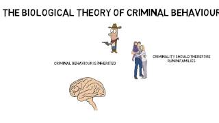 GCSE Psychology Criminal behaviour Biological theory [upl. by Ardiek]