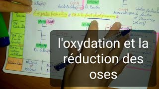 ✅ Biochimie Les Glucides Partie 2 loxydation et la réduction des oses [upl. by Ahsieat]