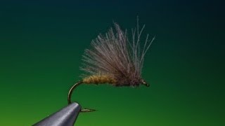 Tying a CdC caddissedge with Barry Ord Clarke [upl. by Zawde34]