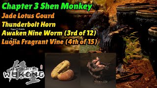 Black Myth Wukong Chapter 3 Shen Monkey Awaken Nine Worm Luojia Fragrant Vine etc [upl. by Zacharia639]