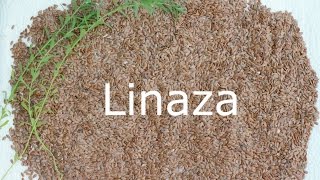 Beneficios de linaza para la salud cabello y piel [upl. by Edyth]