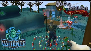 HCIM Fairytale II  Cure A Queen E8S4 [upl. by Wallis]