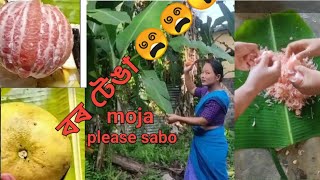 বৰ টেঙা  New Mising Vlog  Torali Official [upl. by Orian353]