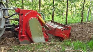 SEPPI M  MIDISOIL dt  NEW Forestry tiller amp crusher  Forstfräse amp Steinbrecher [upl. by Ayoj]