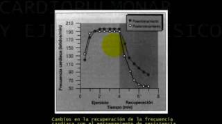 Fisiologia CARDIOPULMONAR Y EJERCICIO 12 [upl. by Quint]