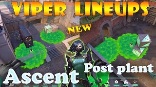 Top 15 New Ascent Viper Post Plant Lineups  Viper Lineups Ascent  Viper Guide Ascent [upl. by Klenk319]