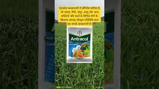 antracol contact fungicide। propineb। [upl. by Woodman]