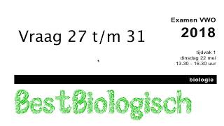 Biologie examen VWO 2018 eerste tijdvak vraag 27 tm 31 [upl. by Merrielle]