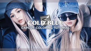 Capcut Coloring Tutorial “Cold Blue”  1 check the description [upl. by Eirelav]