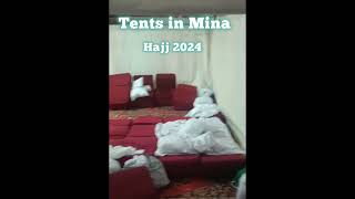 Pakistanis Hajjaj Tents in Mina Hajj 2024 updates SaeedAShaikh [upl. by Laurence]