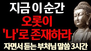 오롯이 나로 지금 이 순간을 살아라 l 불행의 원인은 생각이 너무 많아서이다 l 부처님 말씀 l 삶의 지혜 I 인생 조언 I 격언 I 오디오북 I 철학 l 불교 l 석가모니 [upl. by Eyatnod]